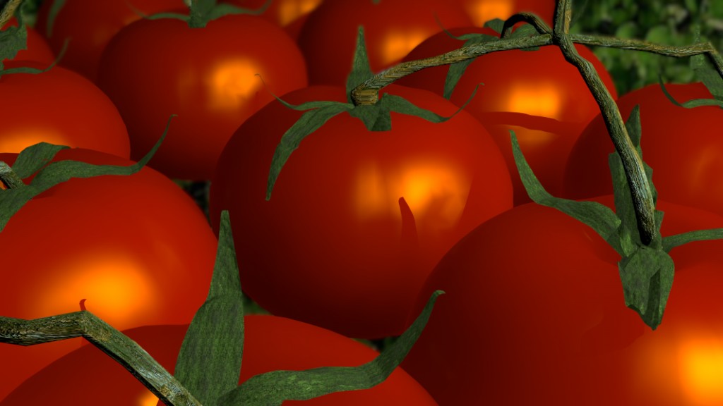 tomatoes preview image 1